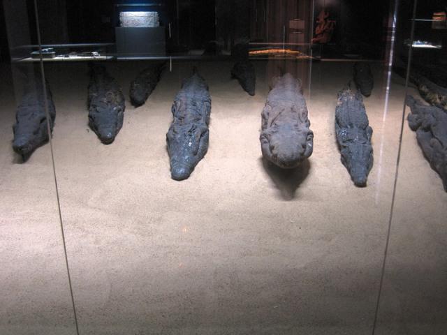 03 Kom Ombo Crocodile museum