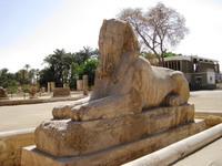 2 Memphis albasten sphinx Amenhotep II