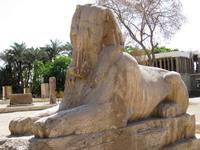 3 Memphis albasten sphinx Amenhotep II