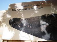 01 Kom Ombo Crocodile museum