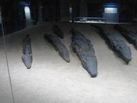 02 Kom Ombo Crocodile museum