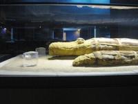 18 Kom Ombo Crocodile museum