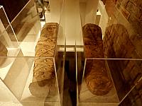 Diverse mummies, 2 meisjes en een jongen. Graf van Aline (Hawara)