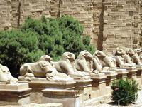 05a-Karnak sphinxallee