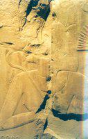 040. Detail Hatsjepsoet reliefblok Luxor museum