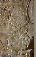 Hathor met ramskoppige god een prins en Ramses II