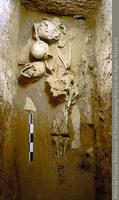 Menselijk skelet onder 3 schedels