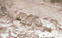 02 Mummie Hatsjepsoet in KV 60