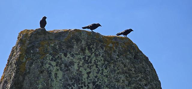 IMG-20250518-WA0041
