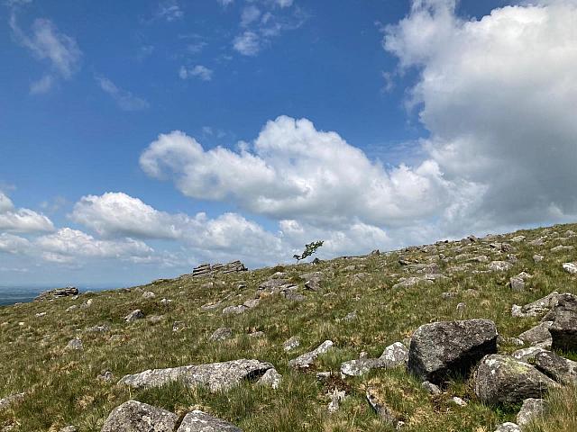 IMG-20250521-WA0017