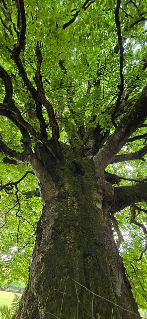 IMG-20250521-WA0056