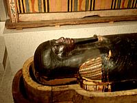 diverse mummiekisten
