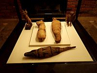 diverse mummiekisten