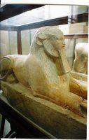 73.Sfinx van Hatsjepsoet Museum Cairo