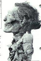 82g. Mummie van Senenmut