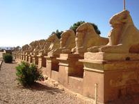 05b-Karnak sphinxallee
