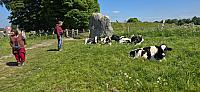 IMG-20250518-WA0038