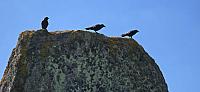 IMG-20250518-WA0041