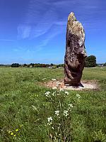 IMG-20250518-WA0059