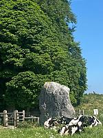 IMG-20250518-WA0096