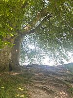 IMG-20250518-WA0097