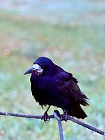 IMG-20250519-WA0004