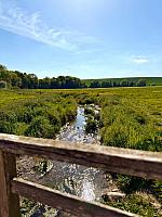 IMG-20250518-WA0050