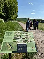 IMG-20250518-WA0052