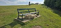 IMG-20250519-WA0064