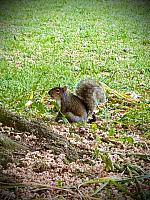 IMG-20250519-WA0069
