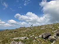 IMG-20250521-WA0017