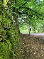 IMG-20250521-WA0021