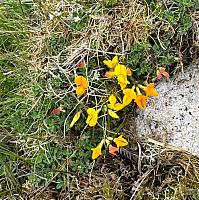 IMG-20250521-WA0035