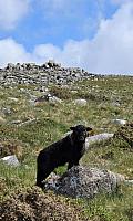 IMG-20250521-WA0042