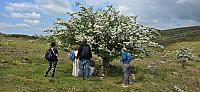 IMG-20250521-WA0055