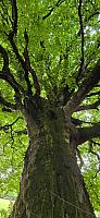 IMG-20250521-WA0056