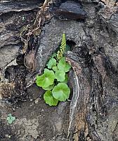IMG-20250521-WA0058