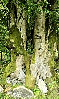 IMG-20250521-WA0059