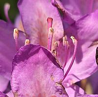 IMG-20250521-WA0060