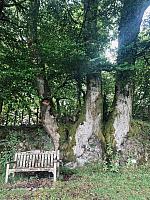 IMG-20250522-WA0005