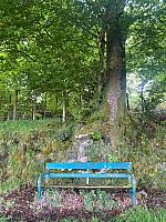 IMG-20250522-WA0006