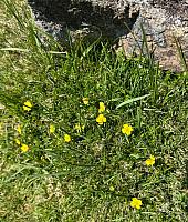 IMG-20250522-WA0063