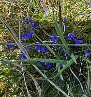 IMG-20250522-WA0068