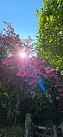 IMG-20250522-WA0124