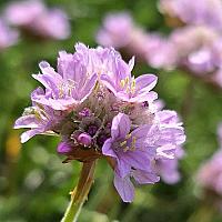 IMG-20250523-WA0004