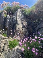 IMG-20250523-WA0101