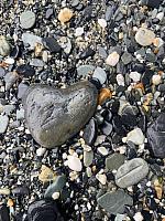 IMG-20250524-WA0017