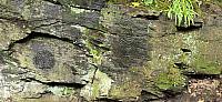 IMG-20250525-WA0024