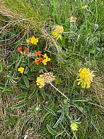 IMG-20250524-WA0021
