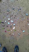 IMG-20250525-WA0035